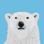 <strong>スウガ熊</strong>